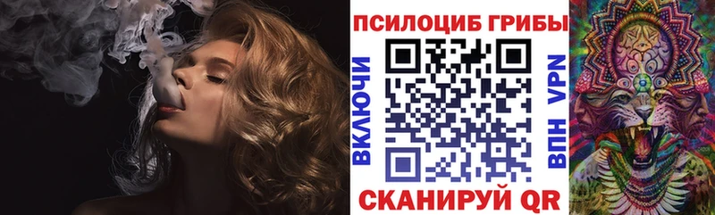 Галлюциногенные грибы Psilocybe  Завитинск 